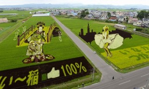 An aerial view is seen of several kinds of rice plants depicting a Japanese "Oiran" or traditional courtesan and actress Marilyn Monroe at the rice fields in Inakadate town